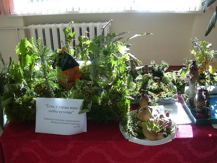 Смотр-конкурс Природа и фантазия фото 1