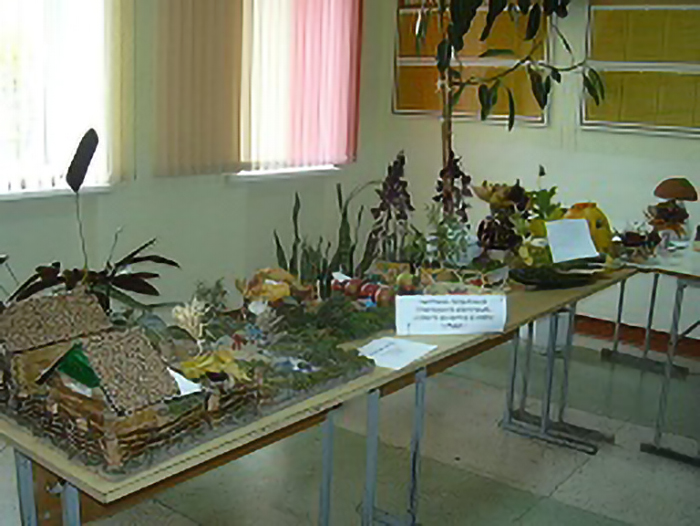 Областные соревнования по баскетболу фото 2