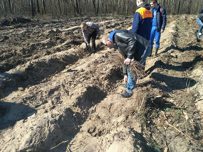 Акция Озеленим нашу планету фото 1