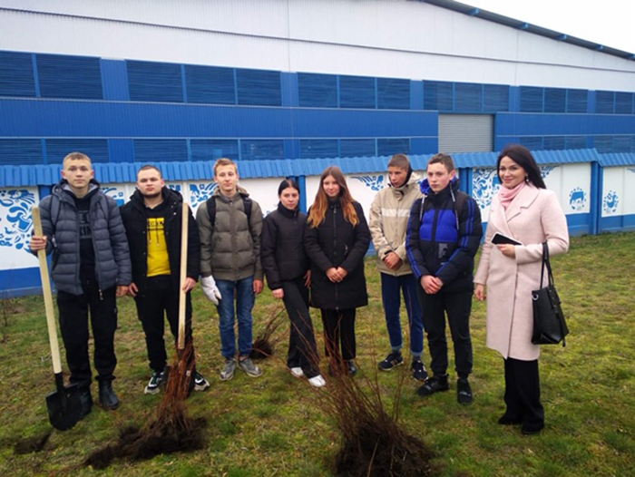 Благоустройство города фото 1