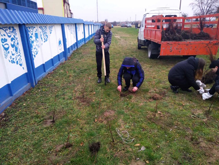 Благоустройство города фото 2