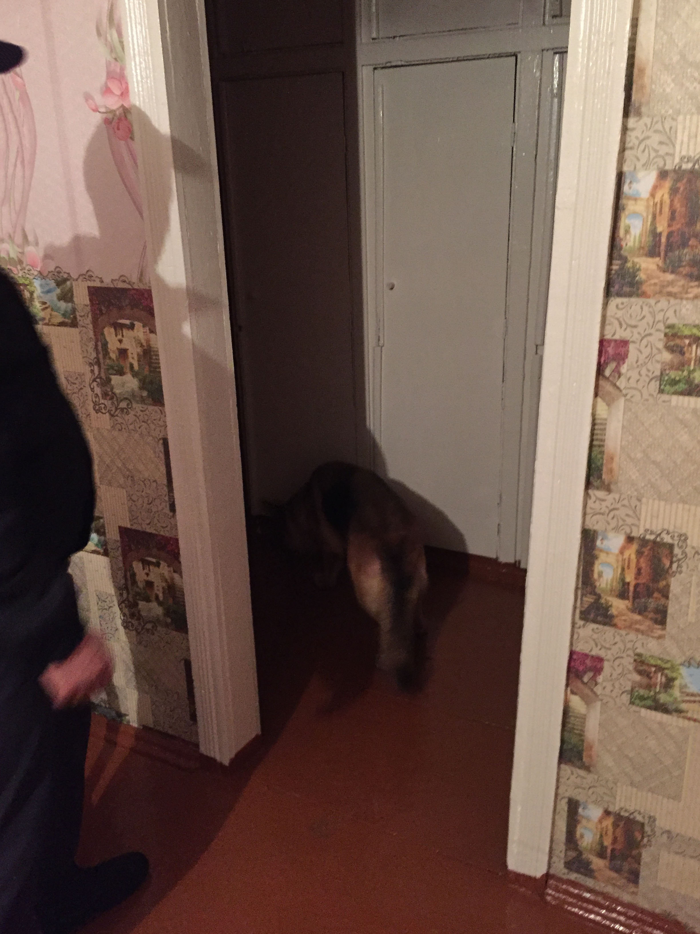 Рейд РОВД в общежитии фото 3