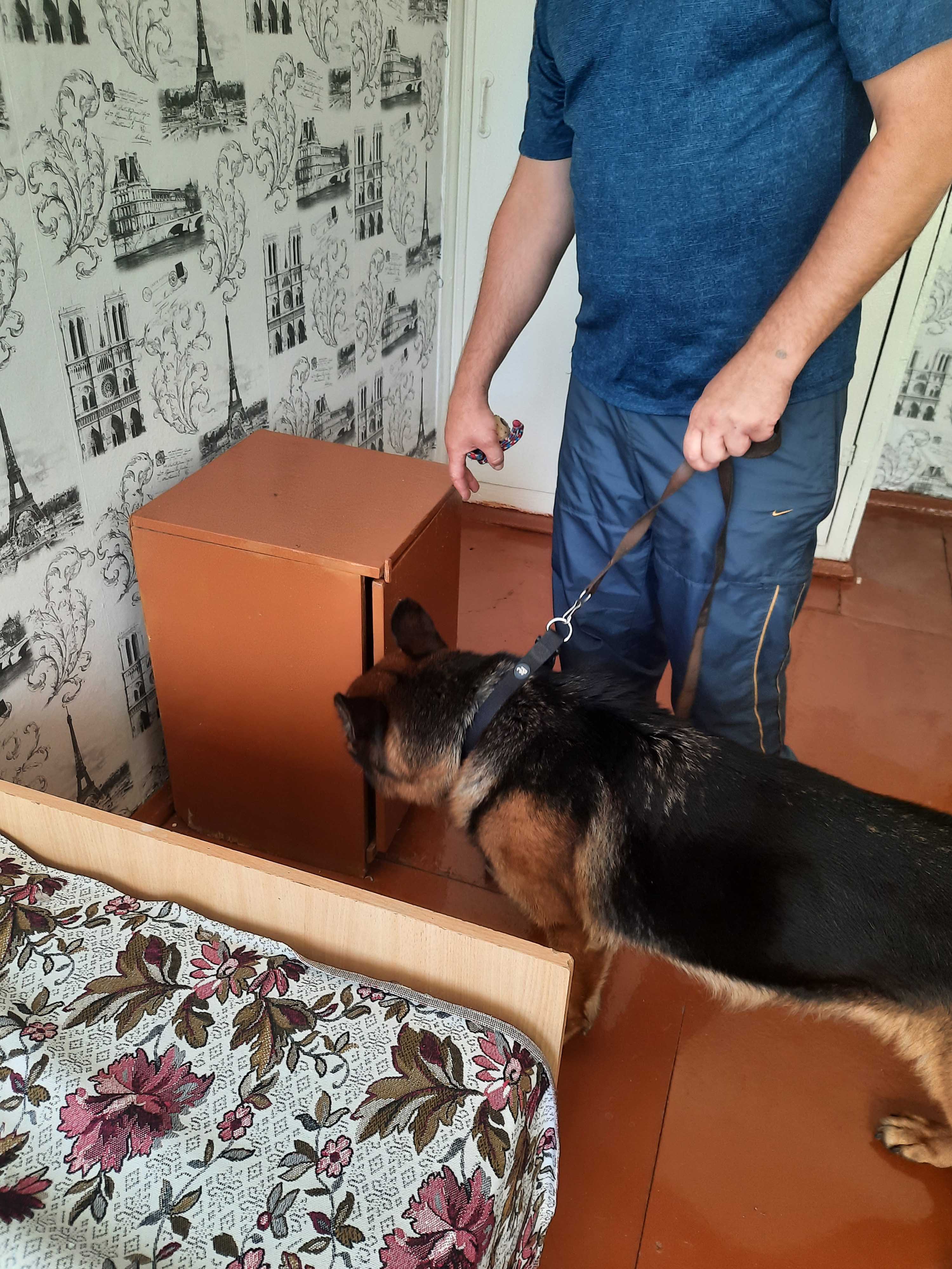 Рейд по выявлению запрещённых веществ фото 1