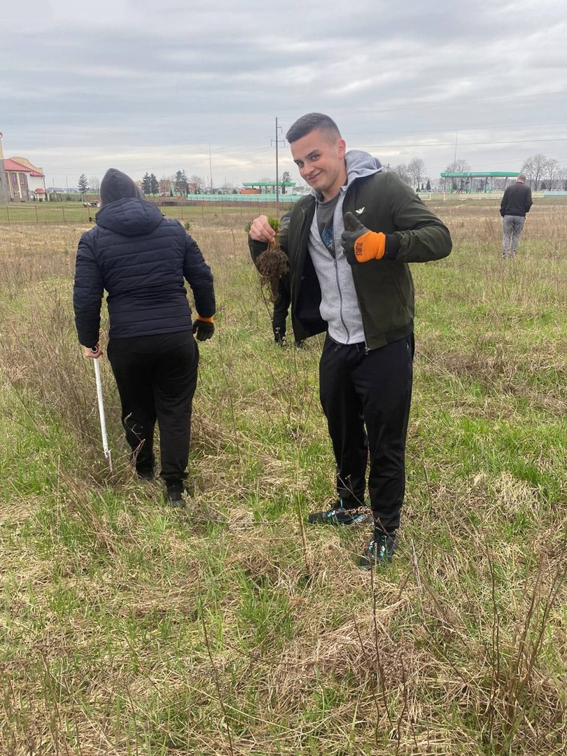 Очередная посадка деревьев фото 3