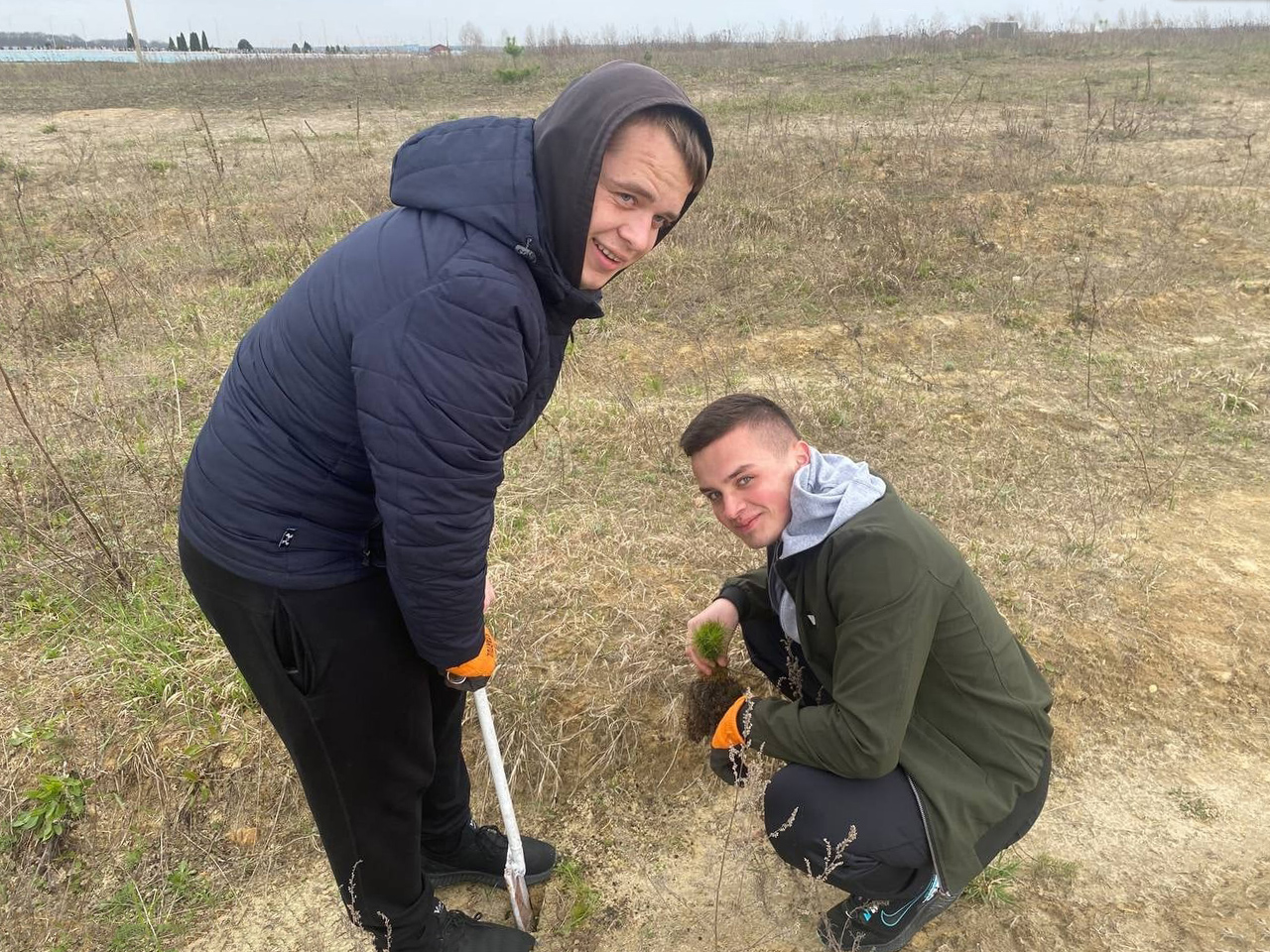 Очередная посадка деревьев фото 5
