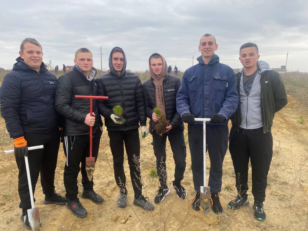 Очередная посадка деревьев фото 6