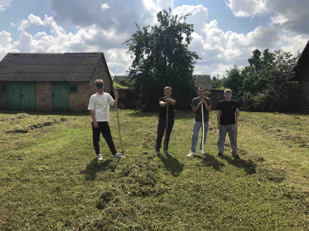 Оказание помощи в наведении порядка фото 1