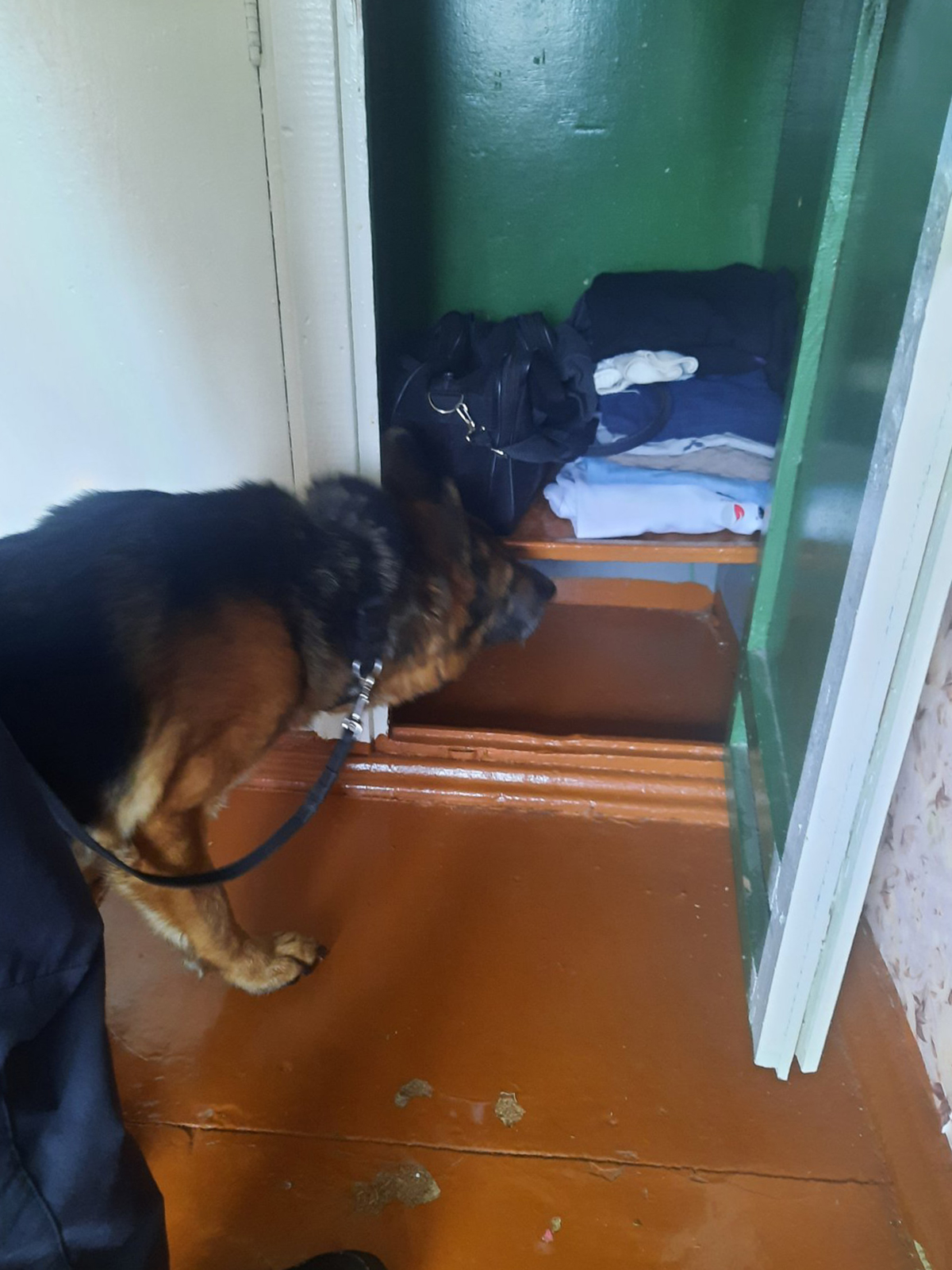 Рейд по выявлению запрещённых веществ фото 2