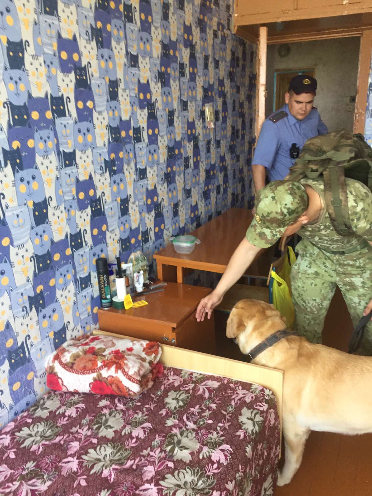 Рейд по выявлению запрещённых веществ фото 3