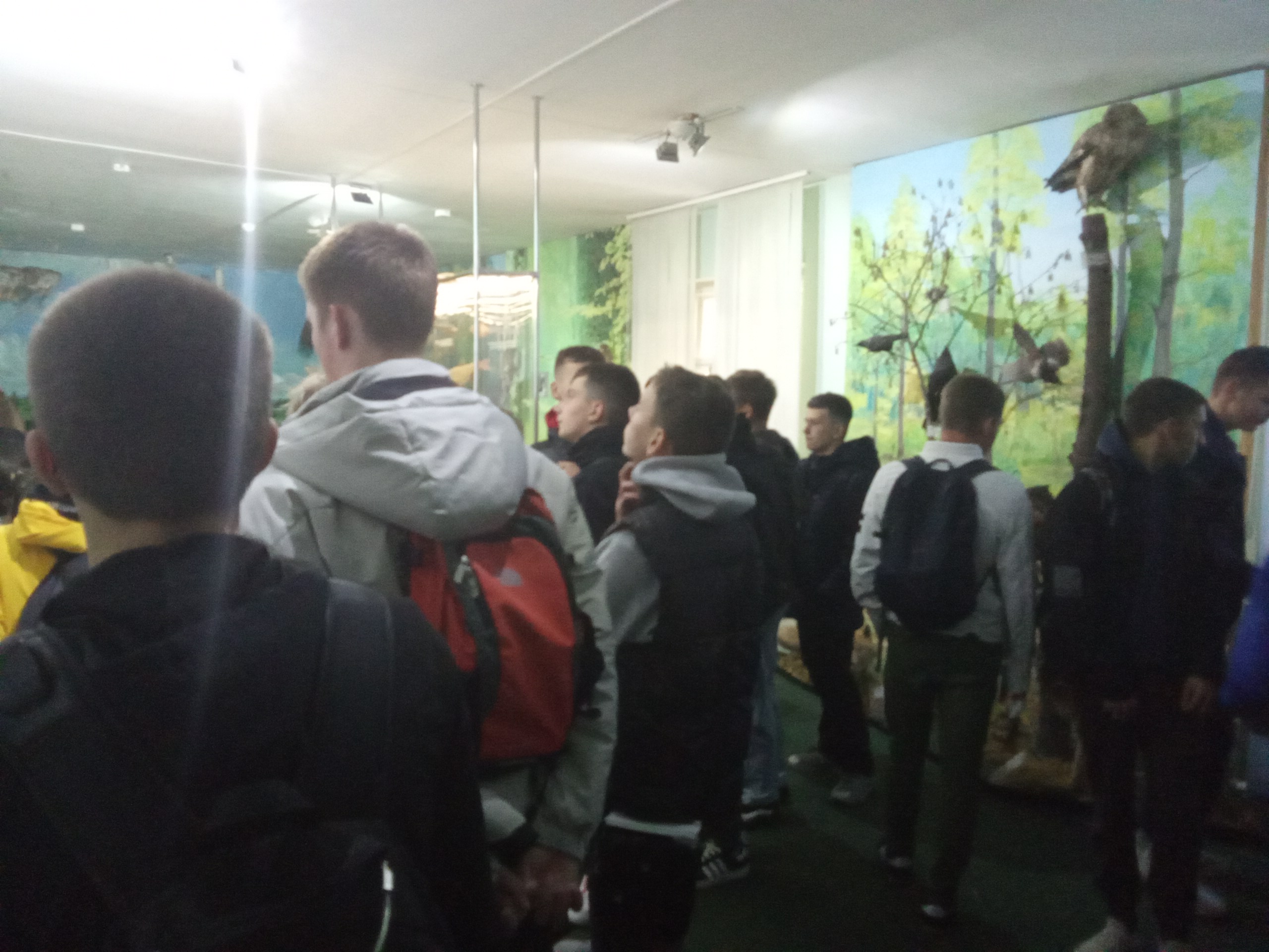 Посещение краеведческого музея фото 4