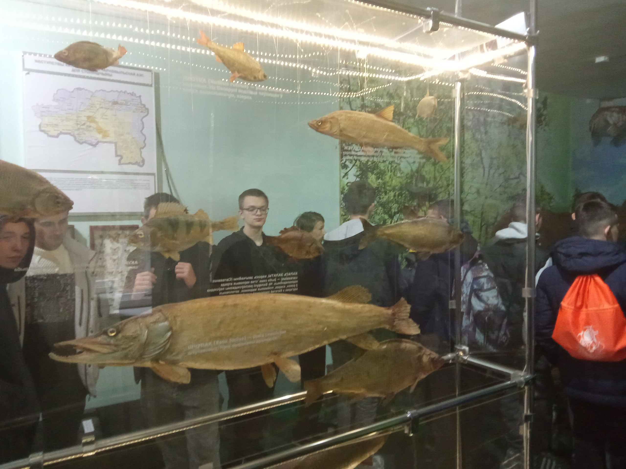 Посещение краеведческого музея фото 6