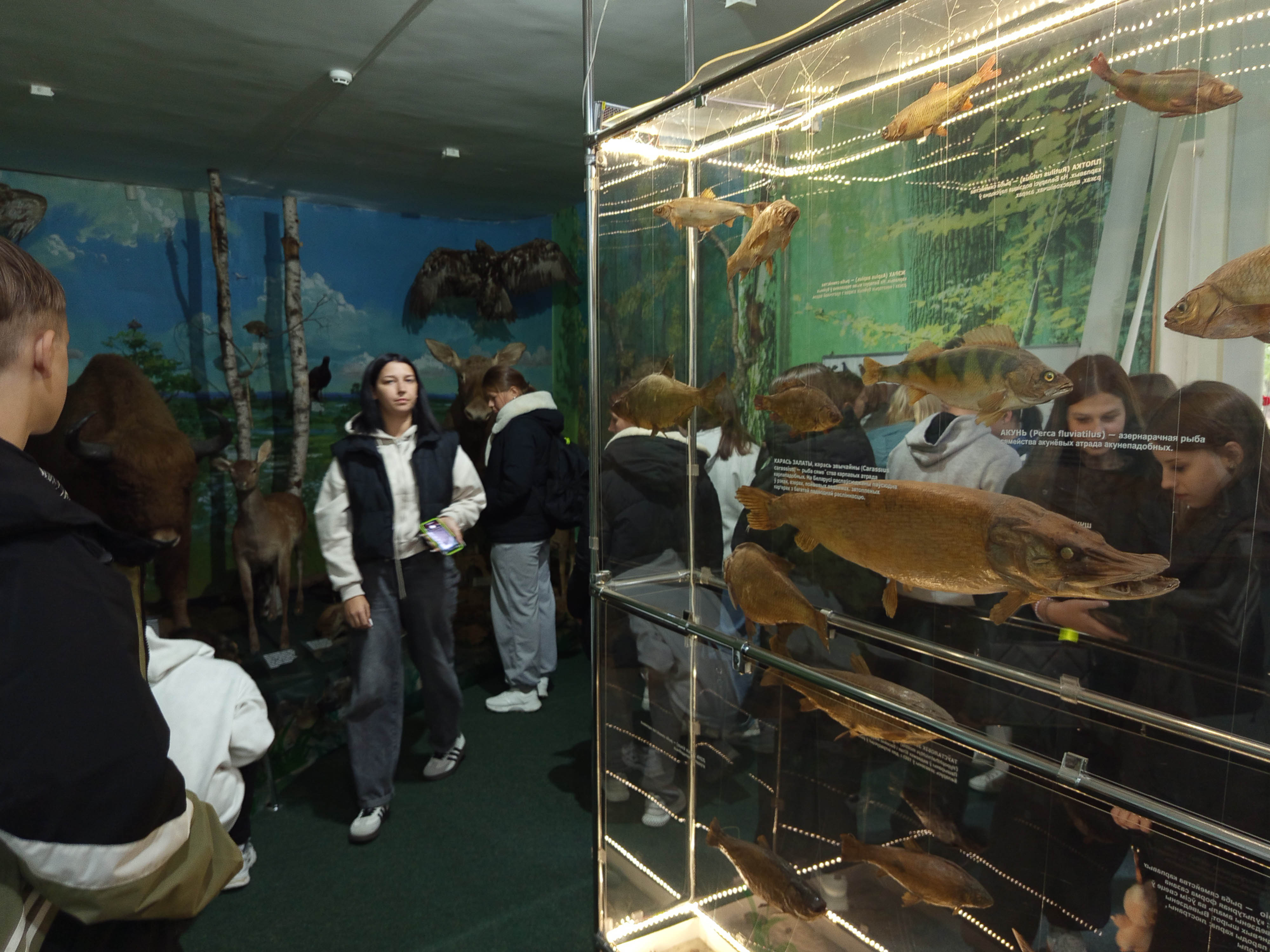 Посещение краеведческого музея фото 2