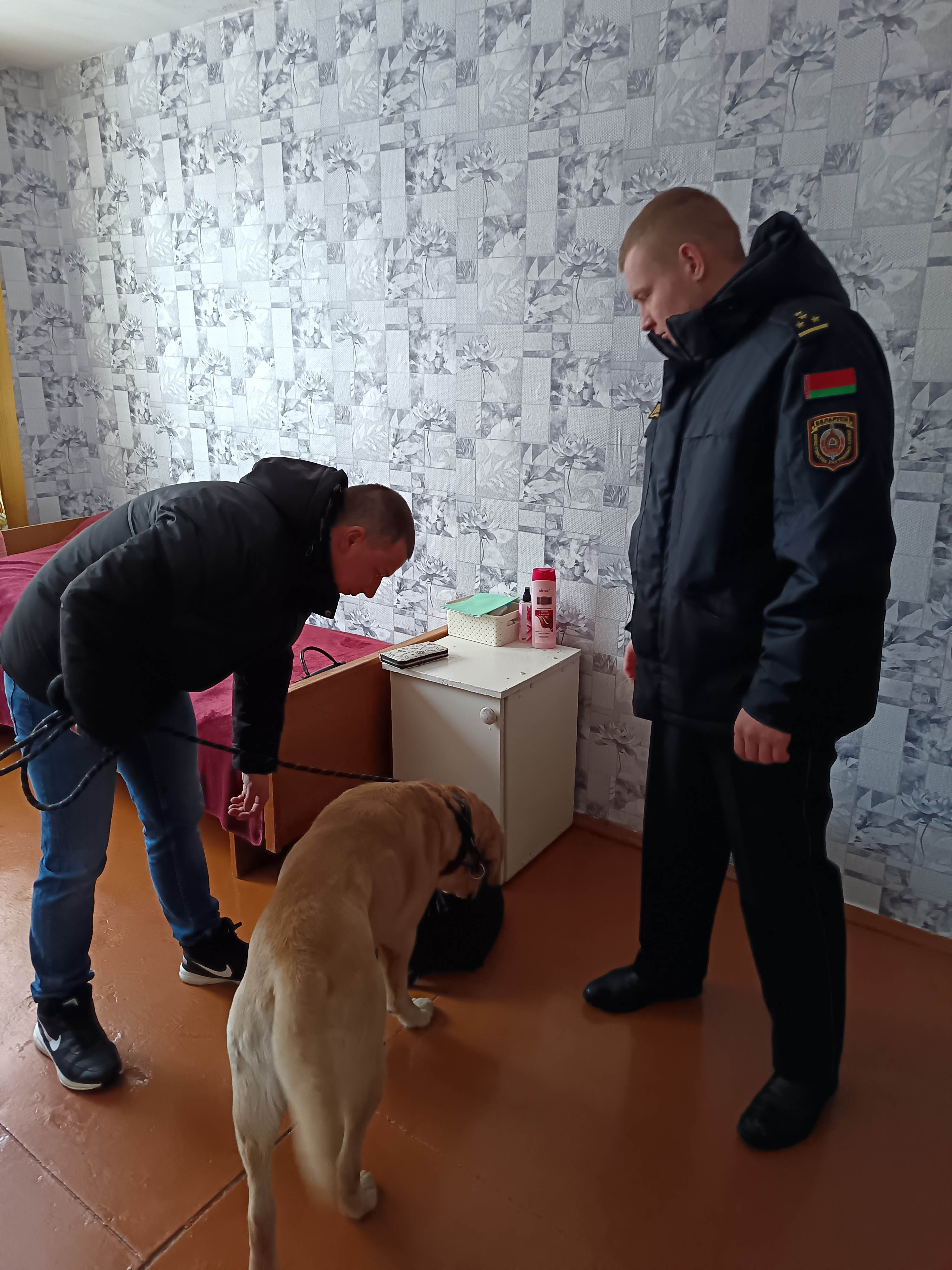 Отработка общежития Наркотики и закон фото 1