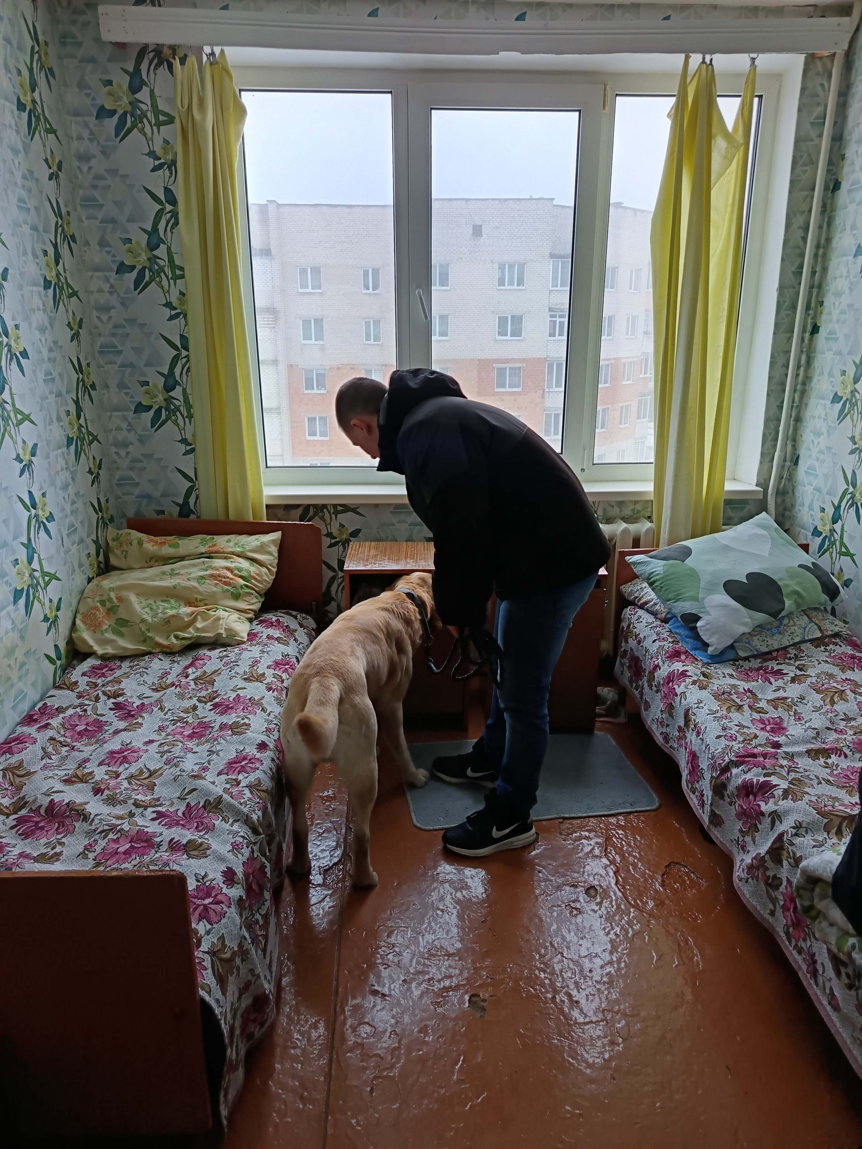 Отработка общежития Наркотики и закон фото 2