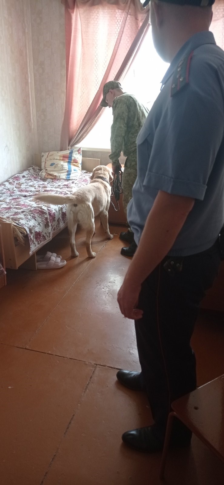 Рейд на предмет выявления наркотических средств фото 3