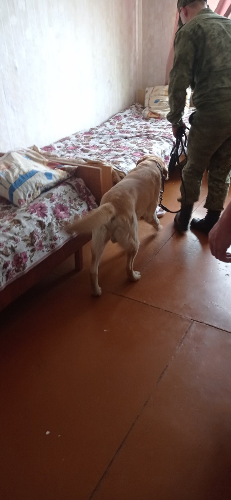 Рейд на предмет выявления наркотических средств фото 4