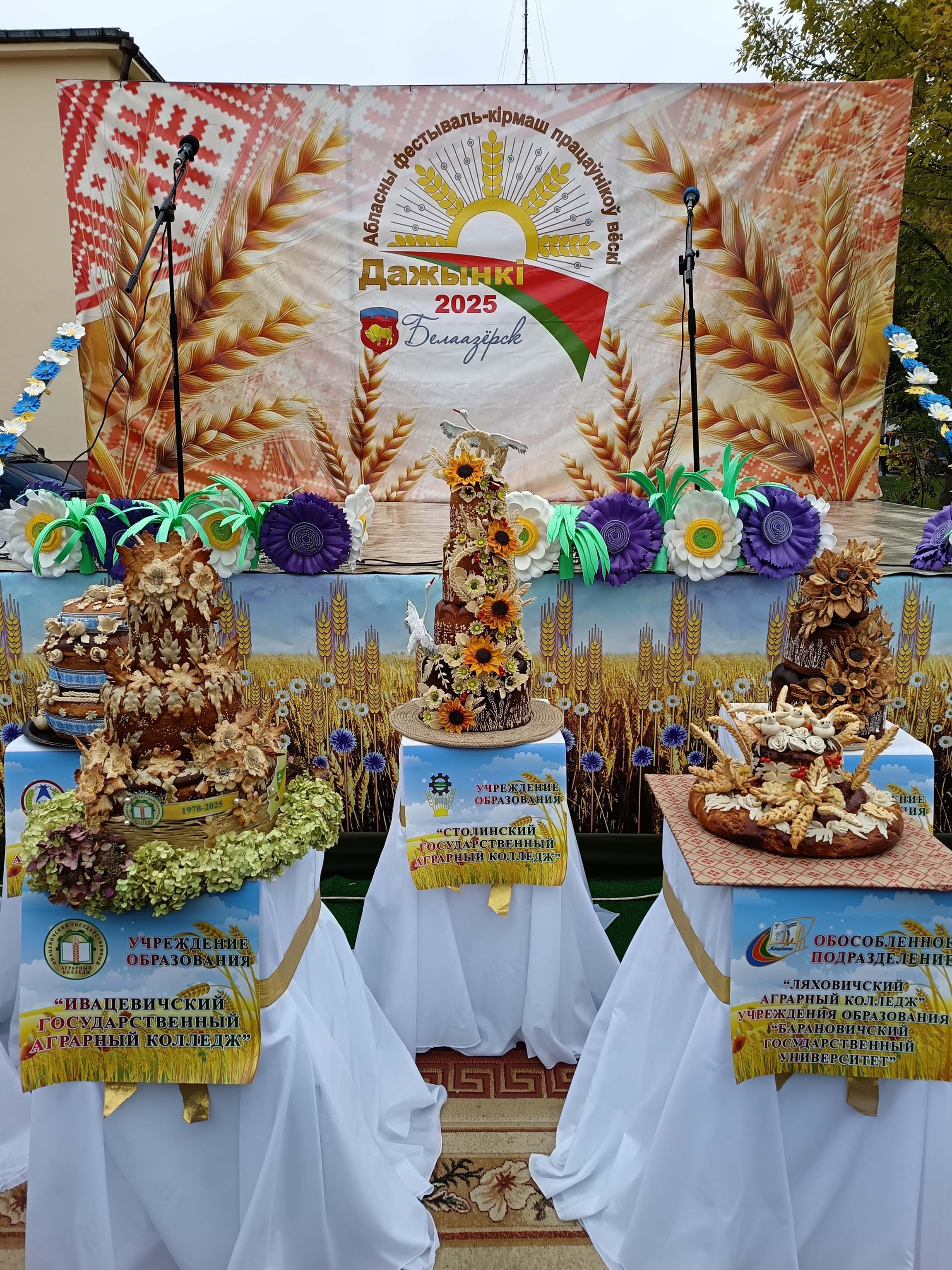 Областные Дожинки фото 16