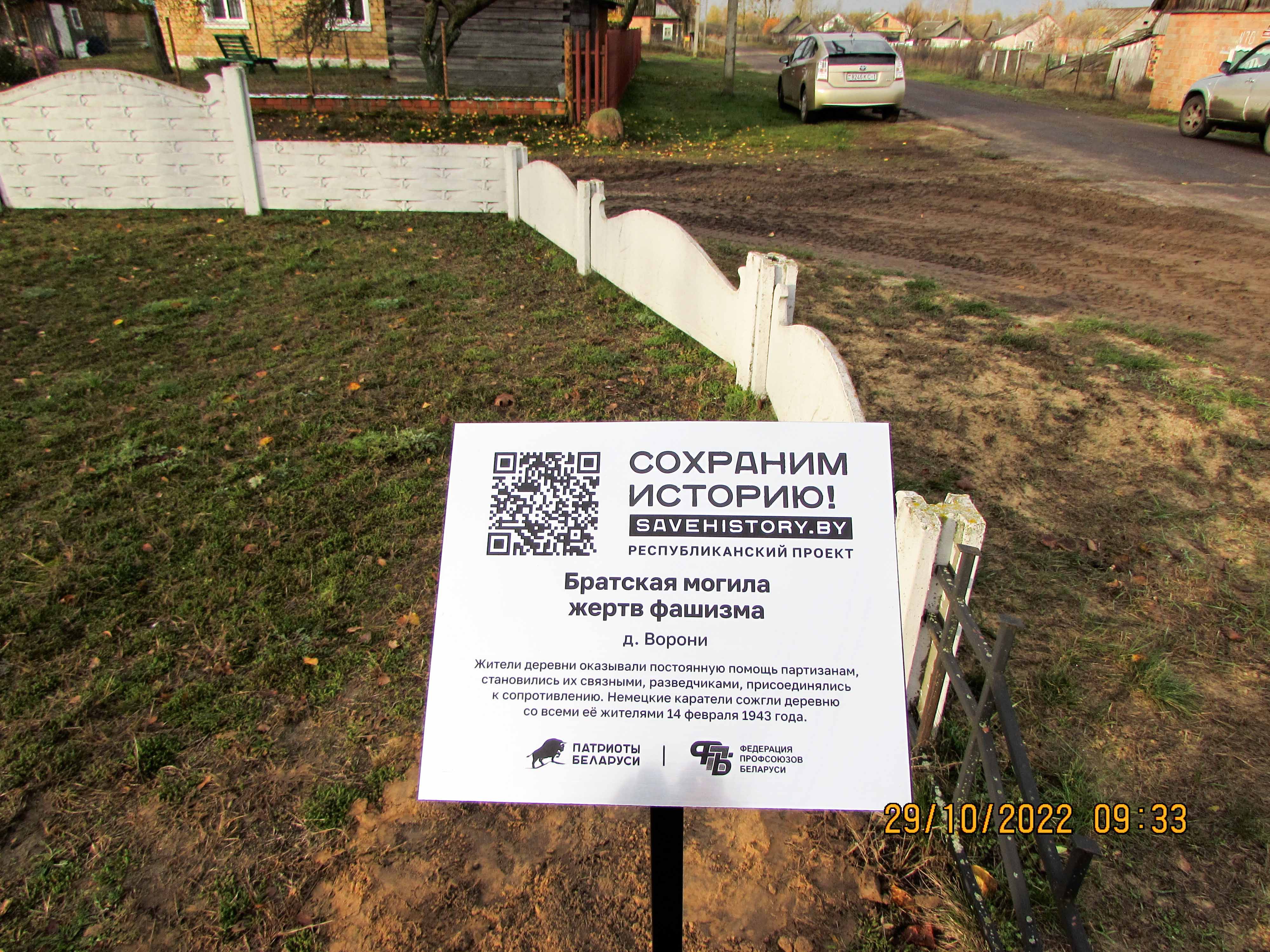 Кампанія па азеляненні Разам за чыстую і зялёную краіну фота 3