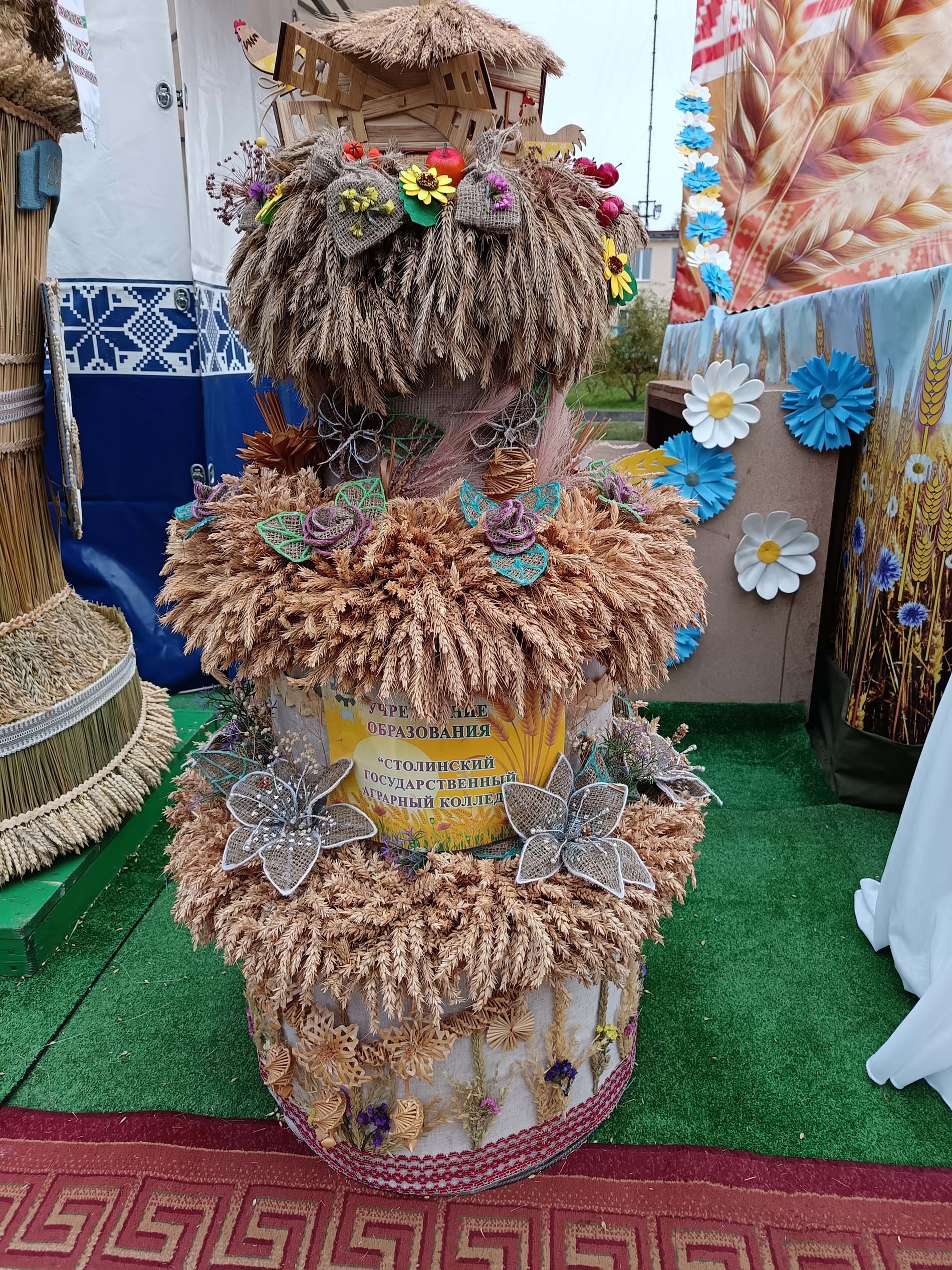 Областные Дожинки фото 15