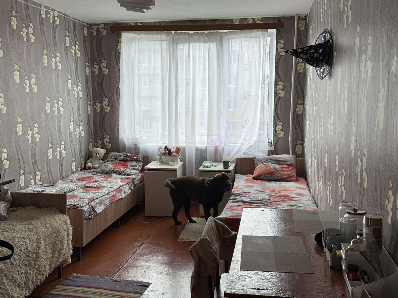 Рэйд па інтэрнаце фота 1