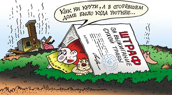 В доме всегда уютнее Карикатура
